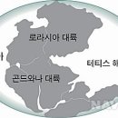 곤드와나
