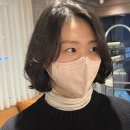 세하디자인 이미지