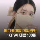 데일리 핏 | KF94 마스크 추천 메디케이알 데일리핏 새부리형 대형 후기