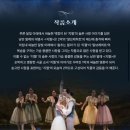 미림문화예술협동조합 | 발레 지젤 스테파 정성욱/안산문화예술의전당 해돋이극장 1층 H열 20,21번 시야