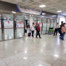 철이네 민박 이미지