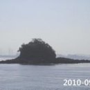 켬 Daum백과