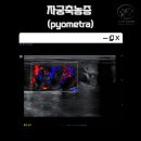 삼화 우수한 동물병원 이미지