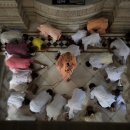 영원의 노래 이미지