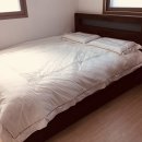 홀리데이나이트 이미지