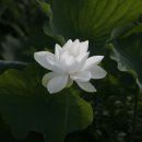 주)두물머리