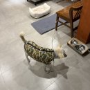 거송한의원 | [일상] 2월 일상, 첫 번째