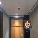 포해피 | 일기 EP 3.] 서울 태교여행 고민이라면? 노보텔 앰배서더 서울 동대문 프리젠트 포 프리맘 패키지 솔직후기