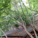 구암약수터 이미지