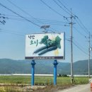 남도(80) 이미지