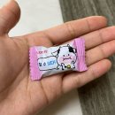 용산-이촌-424 | 2024, 4월 일상 #1