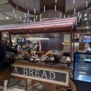 레드몰1차 | 🥐✨ 잠실 핫플 디저트 투어! 왓어브레드 팝업 방문후기 (내돈내산)✨🥐