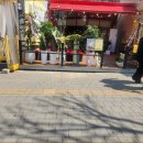 황금오리파티