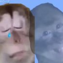 엄카