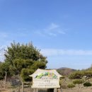 [당진] 할머니네 놀러온것 같은 진경원캠핑장 차박 후기 / 제드 오토듀얼팔레스 크림색 동계차박