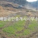 복산가축 티스토리