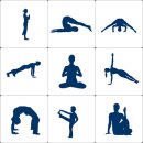 바디 밸런스 UP 요가&필라테스 이미지