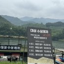 대성수상레저 보트체험 후기