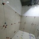 경기도 수원시 장안구 경수대로976번길 | 수원시 장안구 경수대로 976번길 22 조원동 한일타운 아파트 욕실리모델링,600각 포세린 타일,에폭시...