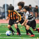 고촌초등학교 이미지