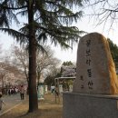꽃보라동산 이미지