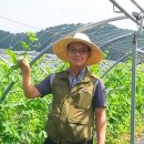 유명농장 이미지