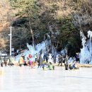 초리골협동조합 이미지