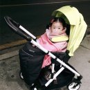 웹피북 | 돈 주고 산 엘레니어 세스토 플러스 절충형 아기 유모차 장단점 솔직 후기 / 가성비 갑 아기 유모차 추천!