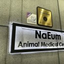 대우동물병원 이미지