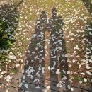 태산목장 이미지