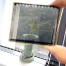 숲 태양광발전소 이미지