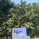 슈슈풀빌라 이미지