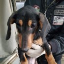 안정쇼핑로 이미지