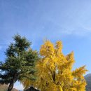 신당마을회관 이미지