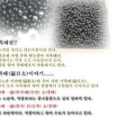 [정보] 검정콩의 특징과 효능 이미지