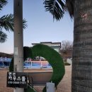 카우스톨 이미지