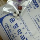 도동약국 이미지