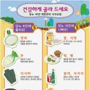 밍도락 이미지