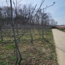 동막동(1) 이미지