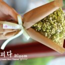 꽃피다Bloom 이미지