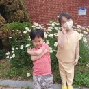 소화데레사유치원