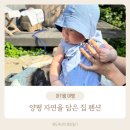 자연을담은집 | [5개월 아기랑 여행] 양평 자연을 담은 집 펜션 C4❤️