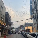 대명119안전센터 앞 인도변 | 대구 벚꽃 여행하기- 조용한 벚꽃길 추천 코스