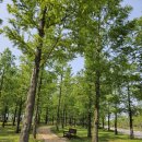 세종중앙공원 이미지