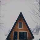 힐링포레 이미지