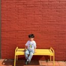 로아캣 | 여름 코디 이모저모 사이즈 후기(하이헤이호, 디어유...미니모먼츠, 로아앤제인, 버베나, 유니클로)