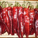 샘골농원 이미지