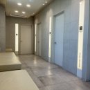 송정동물메디컬센터 | 울산 강일웅동물메디컬센터 항체가검사 룽지 광견병 접종