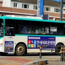 이포약국 이미지