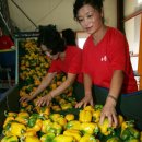 동해영농조합법인 이미지